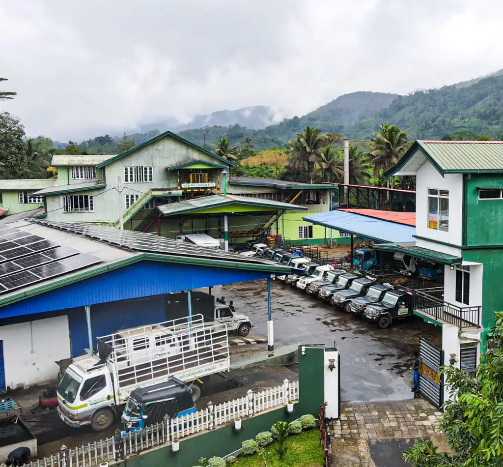 Rajjuruwatte Tea Factory